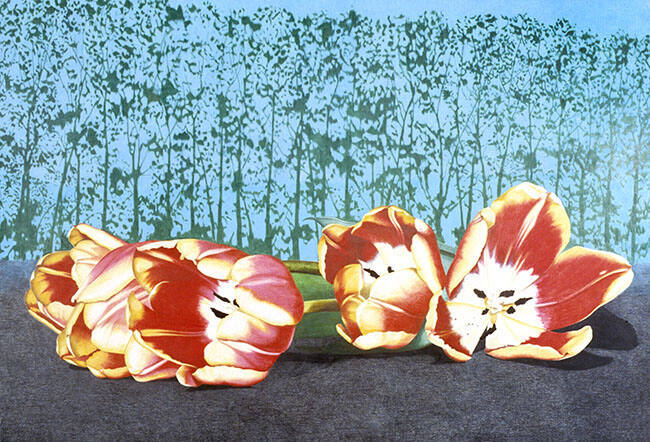 SLEEPING TULIPS