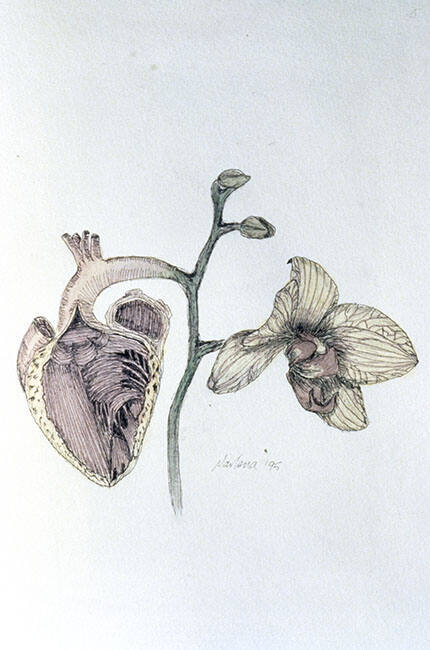 ORCHID HEART