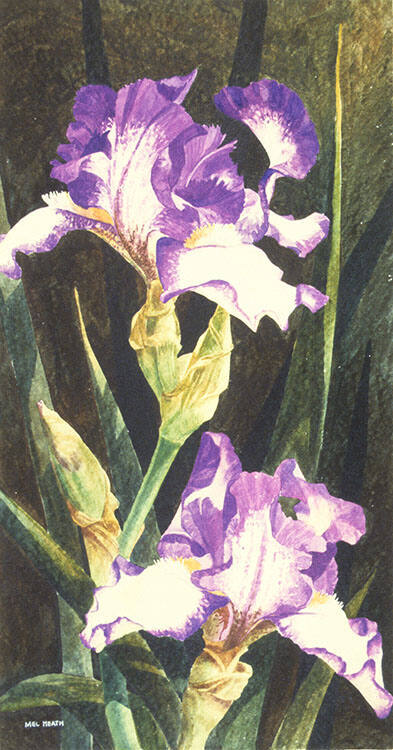 IRISES