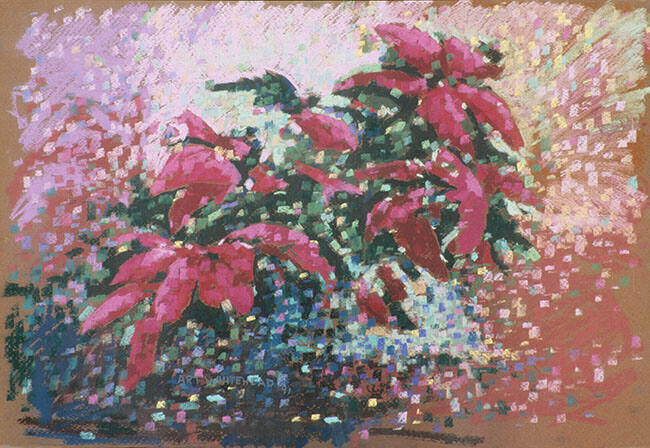 POINSETTA