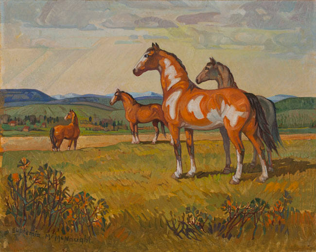 HORSES, RED WILLOW VALLEY