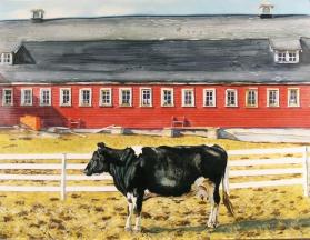 BLACK & WHITE COW STANDING PARALLEL TO RED BARN