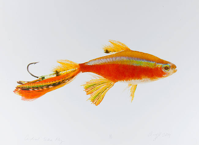 CARDINAL TETRA FLY