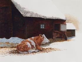 STUDY FOR COWS