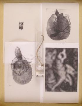 EMBRYO:  FOUR LEAVES OF A BOOKWORK