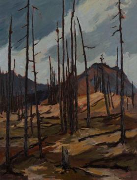 BURNED FOREST ON STORM MOUNTAIN