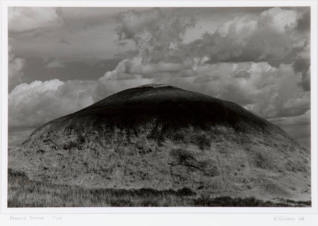 PRAIRIE DOME