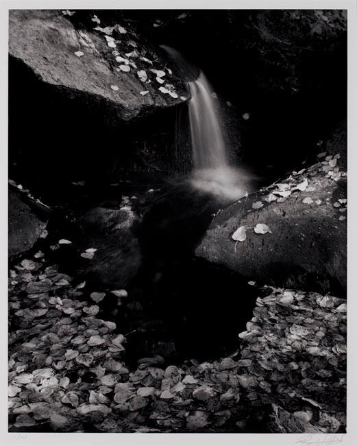 LEAVES AND POOL, COPPERMINE CREEK