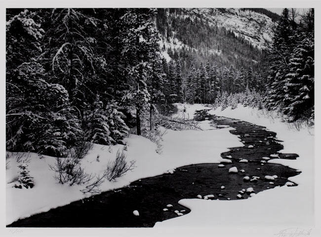 MARCH SNOW, CAMERON CREEK