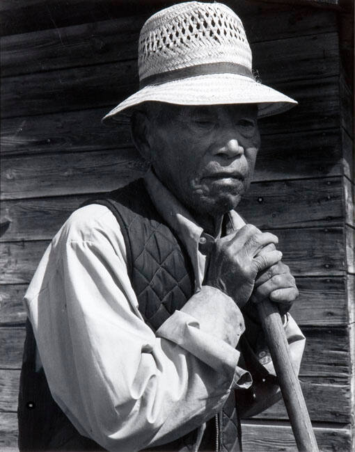 MR. TSUMAGARI, RAYMOND, ALBERTA