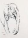BABE (CIRCUS ELEPHANT)