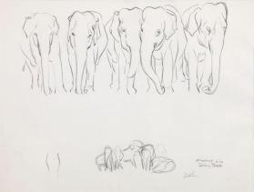ELEPHANT LINE, DALEY BROTHERS