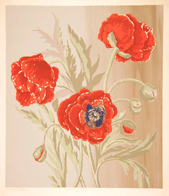 ORIENTAL POPPIES