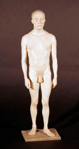 STANDING MALE NUDE I