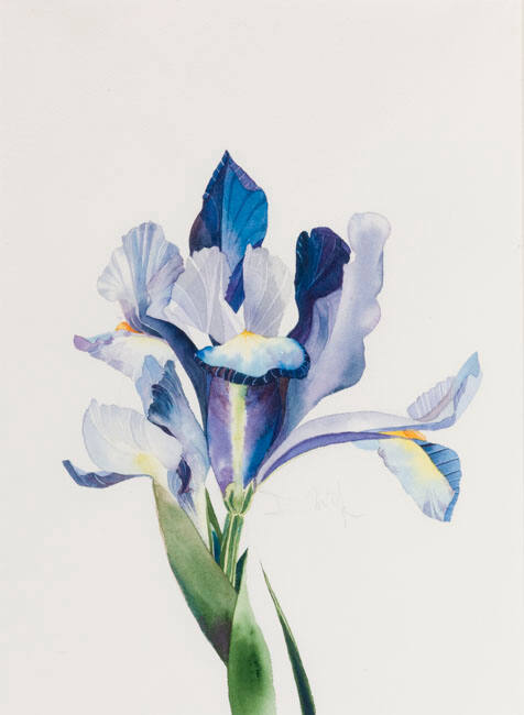 IRIS #2