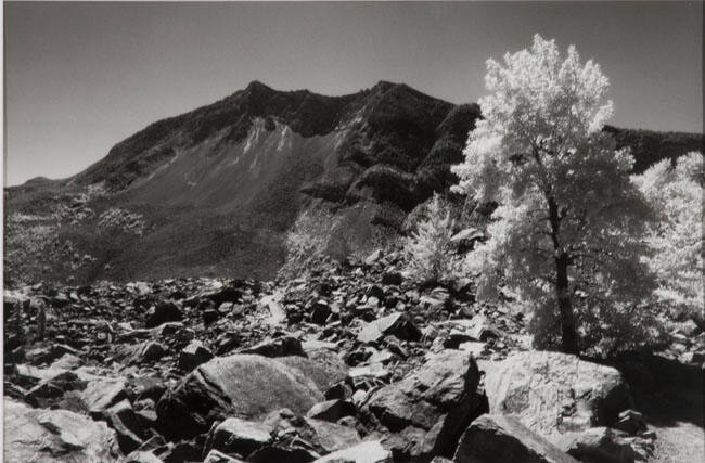 FRANK SLIDE, ALBERTA