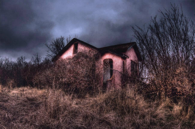 PINK HOUSE