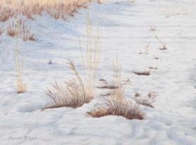 GRASS IN SNOW