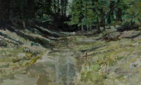 UNTITLED (STREAM PATHWAY BETWEEN BANKS DURING DRY