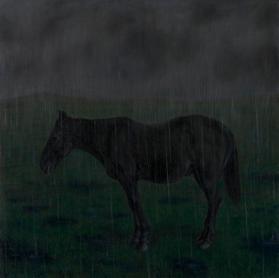HORSE IN THE RAIN
