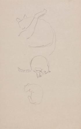 ANIMAL SKETCHES