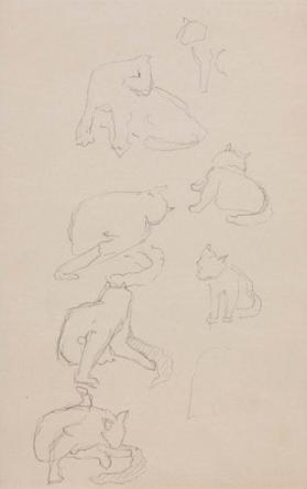 ANIMAL SKETCHES