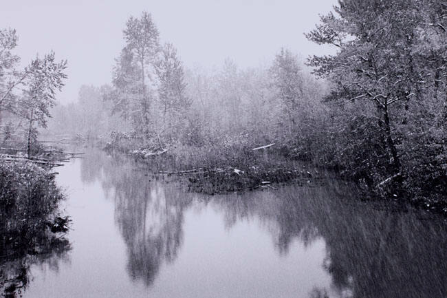 SNOW SHOWER, FISH CREEK