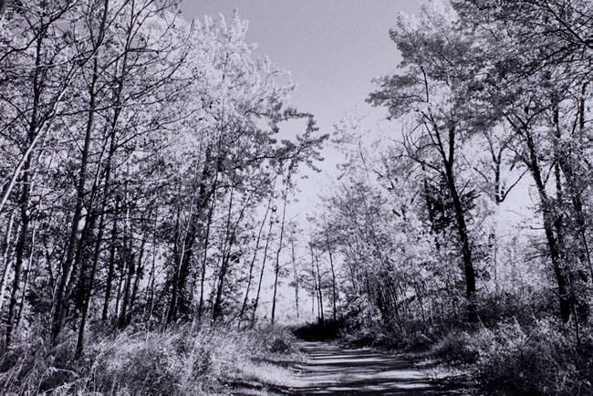 AUTUMN AFTERNOON, FISH CREEK PARK