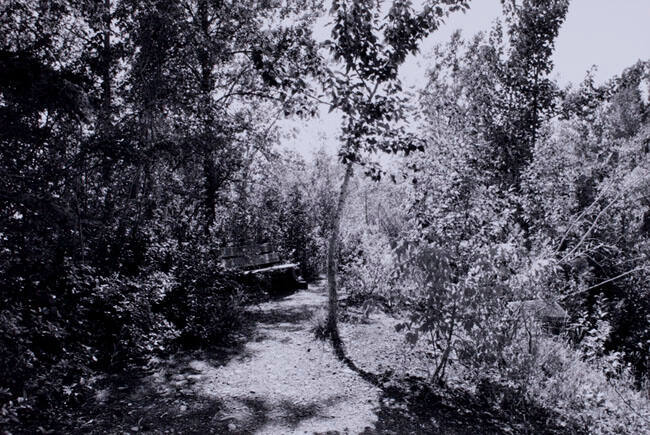 SUNNY AFTERNOON, ELBOW RIVER