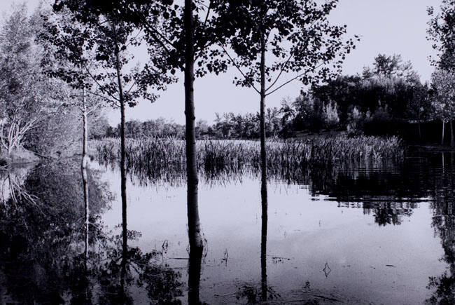 FLOODED LANDSCAPE, CARBURN PARK