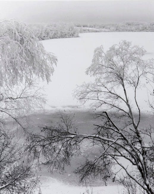 LANDSCAPE, TREES AND LAKE