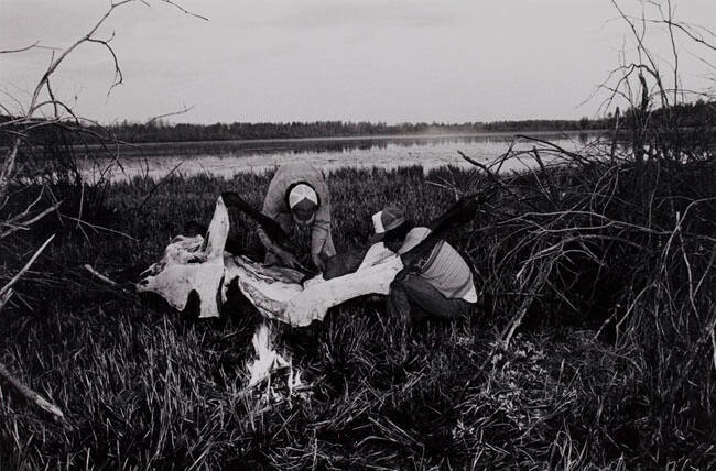 SKINNING MOOSE AT CROOKED LAKE-KIKINO SETTLEMENT