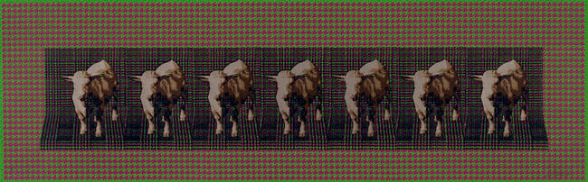 COMPOSITION IN COWS AND HOUNDSTOOTH