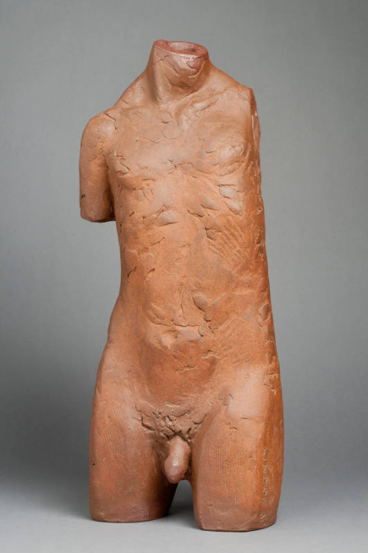 MALE TORSO