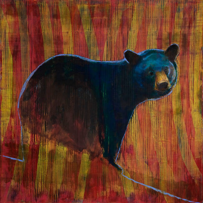 BLACK BEAR