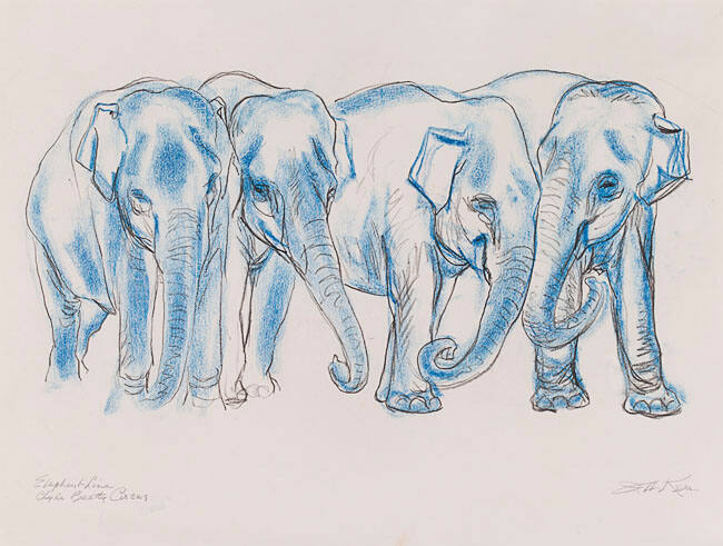 ELEPHANT LINE, CLYDE BEATTY CIRCUS