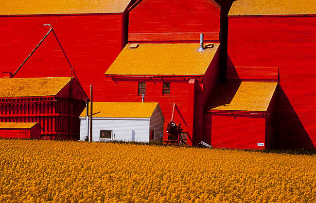 GRAIN ELEVATORS AT MAIDSTONE, SASKATCHEWAN