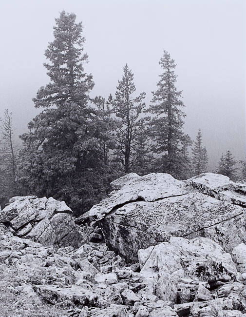 MOUNTAINSIDE IN CLOUD