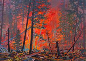 FOREST FIRE AT NIGHT
