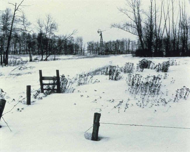 LANDSCAPE, WITH A WATER WINDMILL