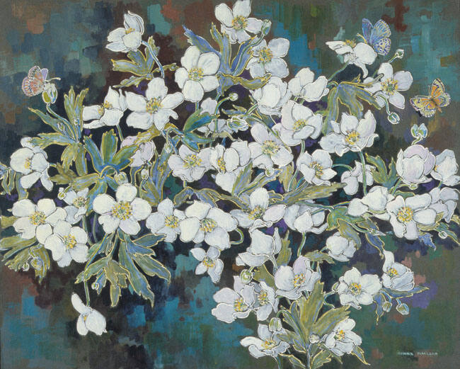 WOOD ANEMONES