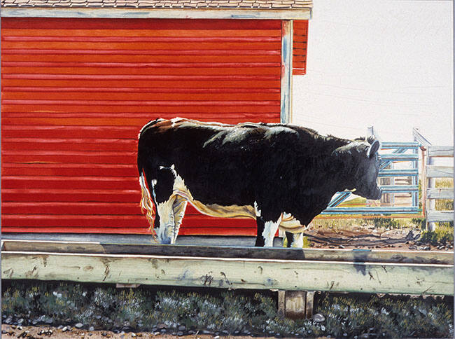 ULTRA HOLSTEIN IN CHALACK'S BARNYARD