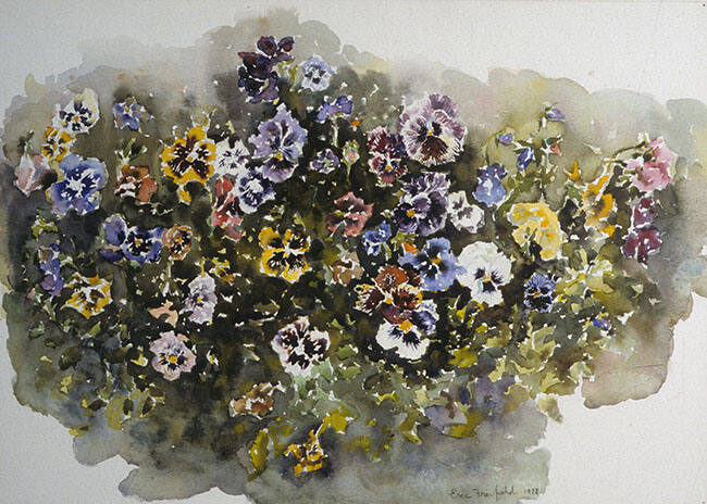 PANSIES