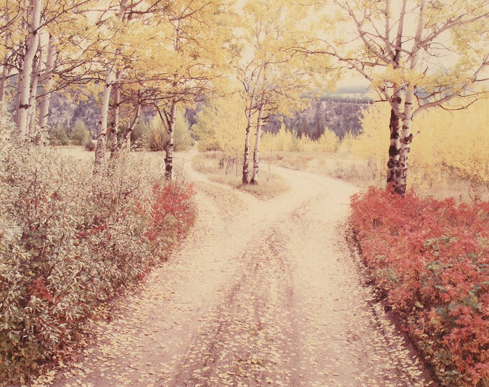 KOOTENAY PLAINS, ALBERTA