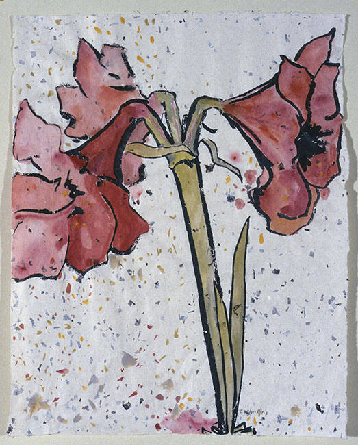 AMARYLLIS #1