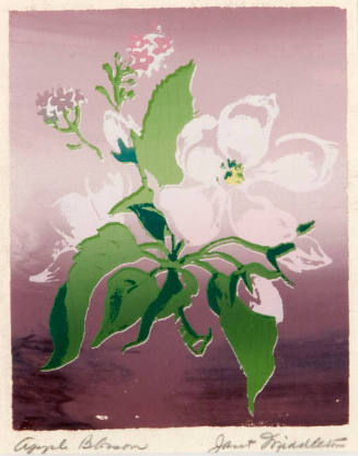 Apple Blossom