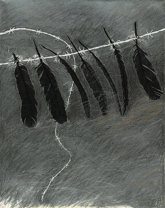 Colleen Campbell