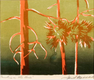 Sunshine in the Pines
