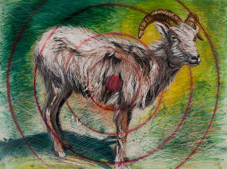 Ram Target