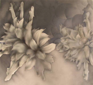 Stamen Encounter